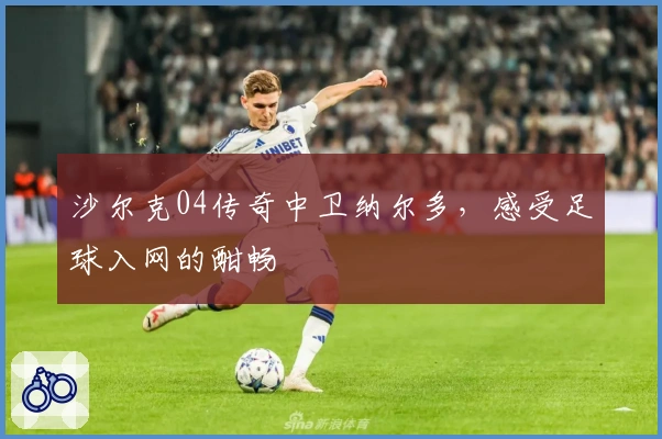 沙尔克04传奇中卫纳尔多,感受足球入网的酣畅