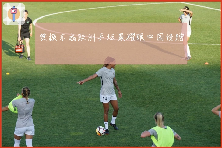 樊振东成欧洲乒坛最耀眼中国馈赠