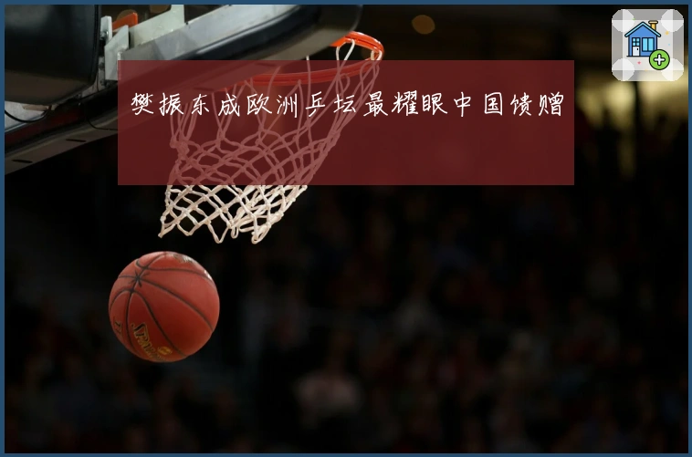 樊振东成欧洲乒坛最耀眼中国馈赠